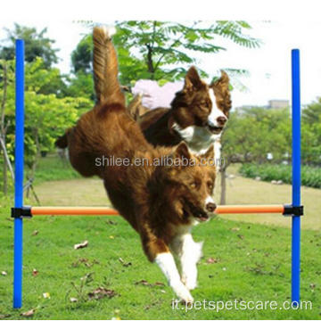 Esercizio di salto della gomma dell&#39;attrezzatura per l&#39;addestramento del cane all&#39;aperto